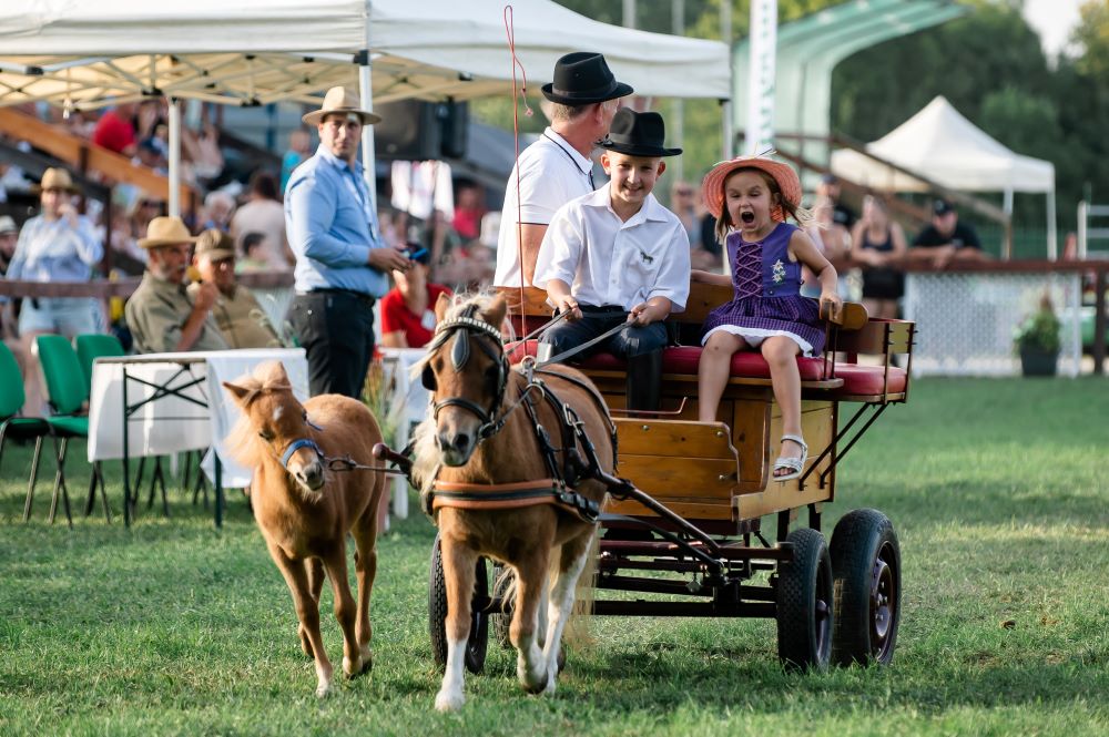 Jön a 35. debreceni Farmer-Expo