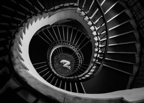 Foto Zelko Csilla (Hungary) 