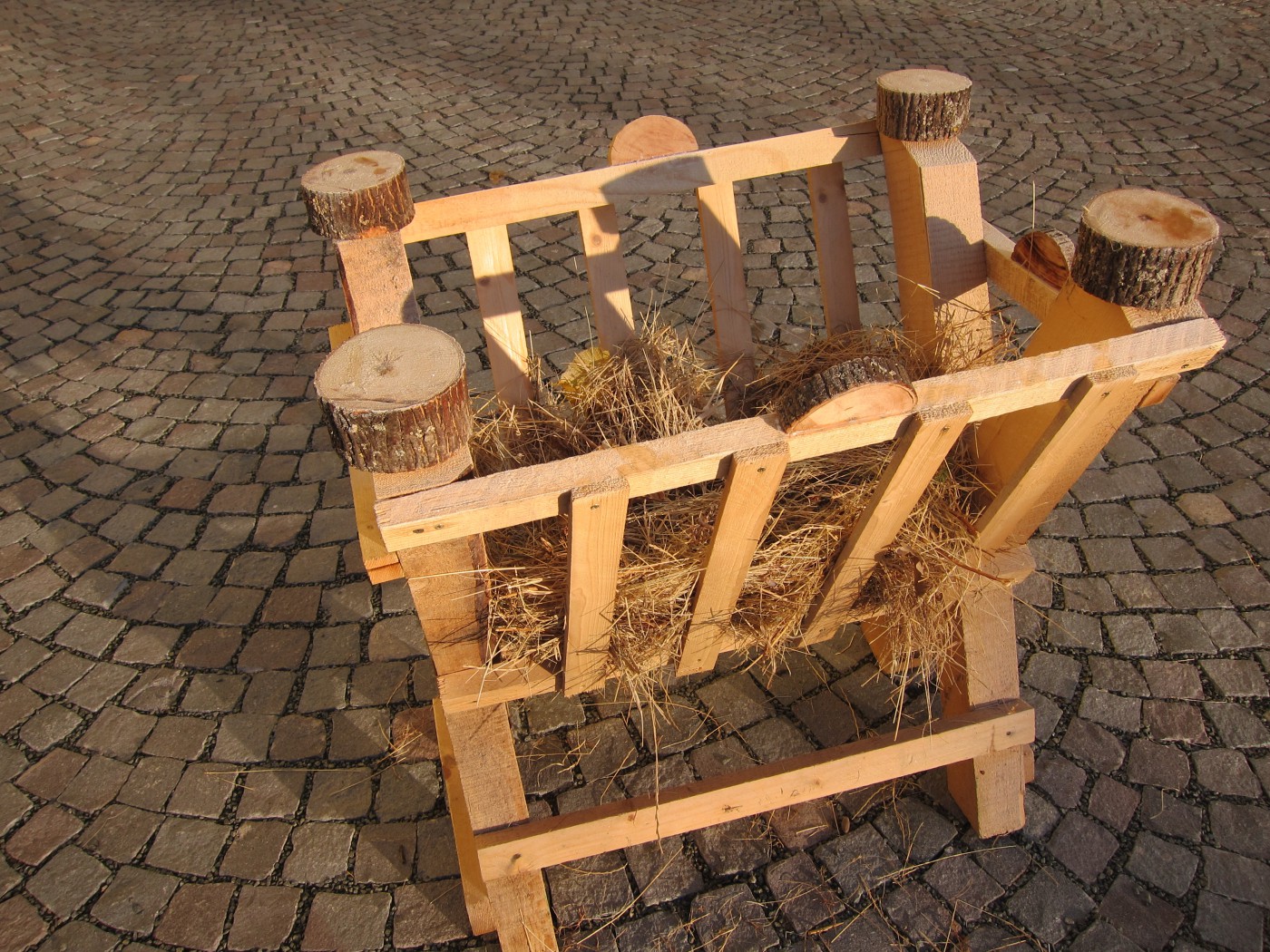 262095401 324544765886101 8114302331084645106 n