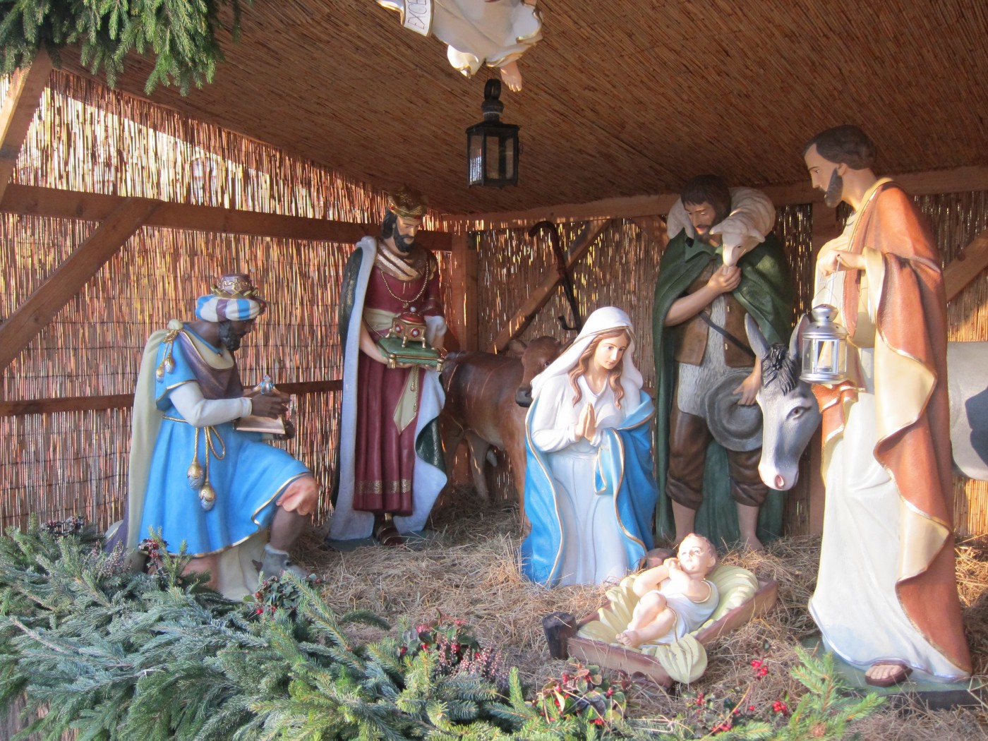 263123924 302562628413487 3979532789587174925 n