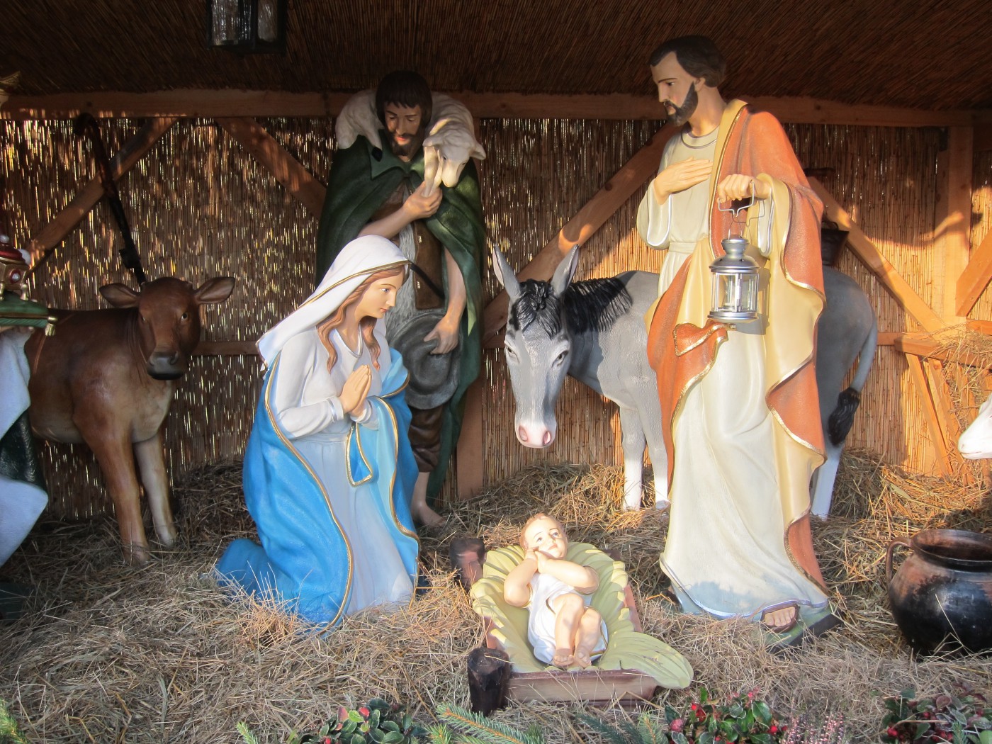 263184688 674734453690794 1909474542767222494 n