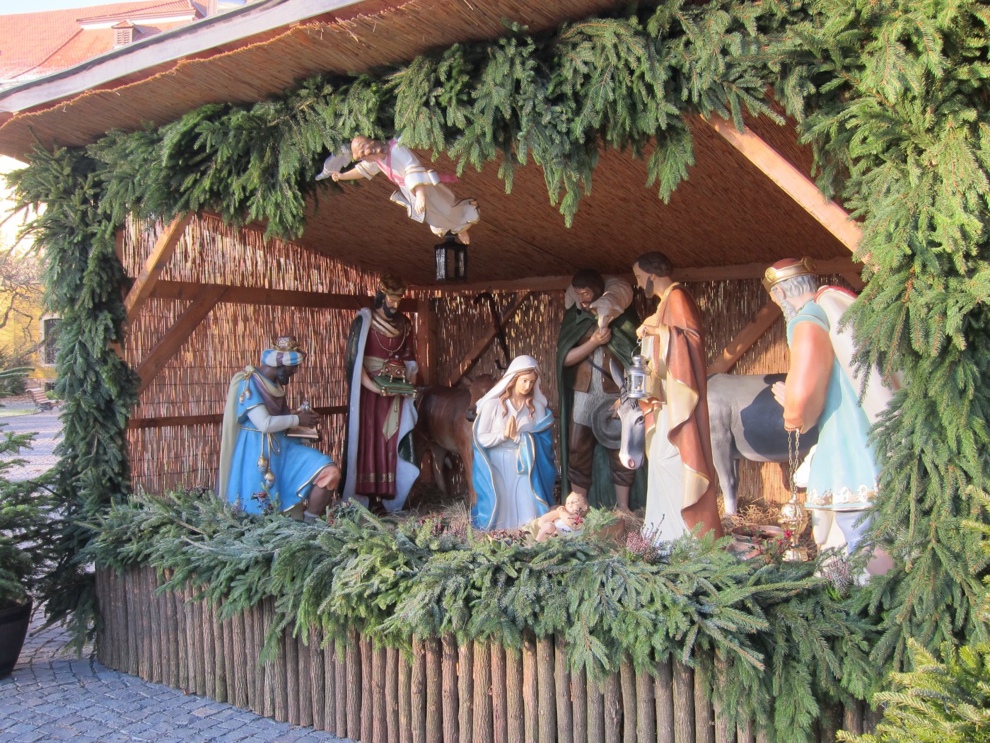 263407067 300560745314080 5810258239130587194 n