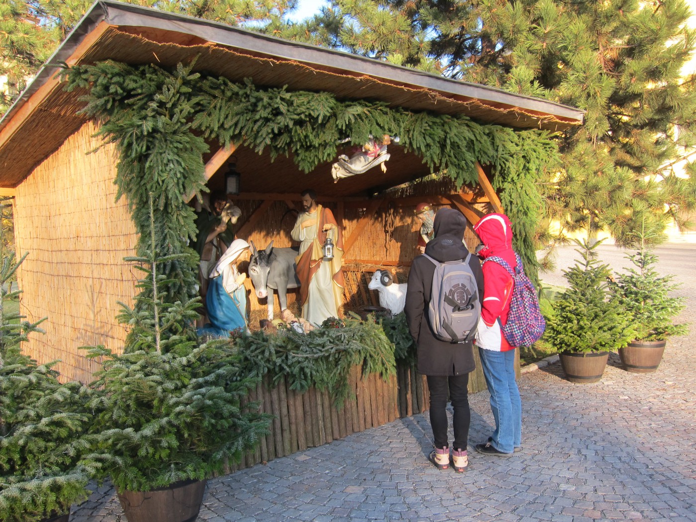 263513578 2067140573440604 4790964520923205718 n