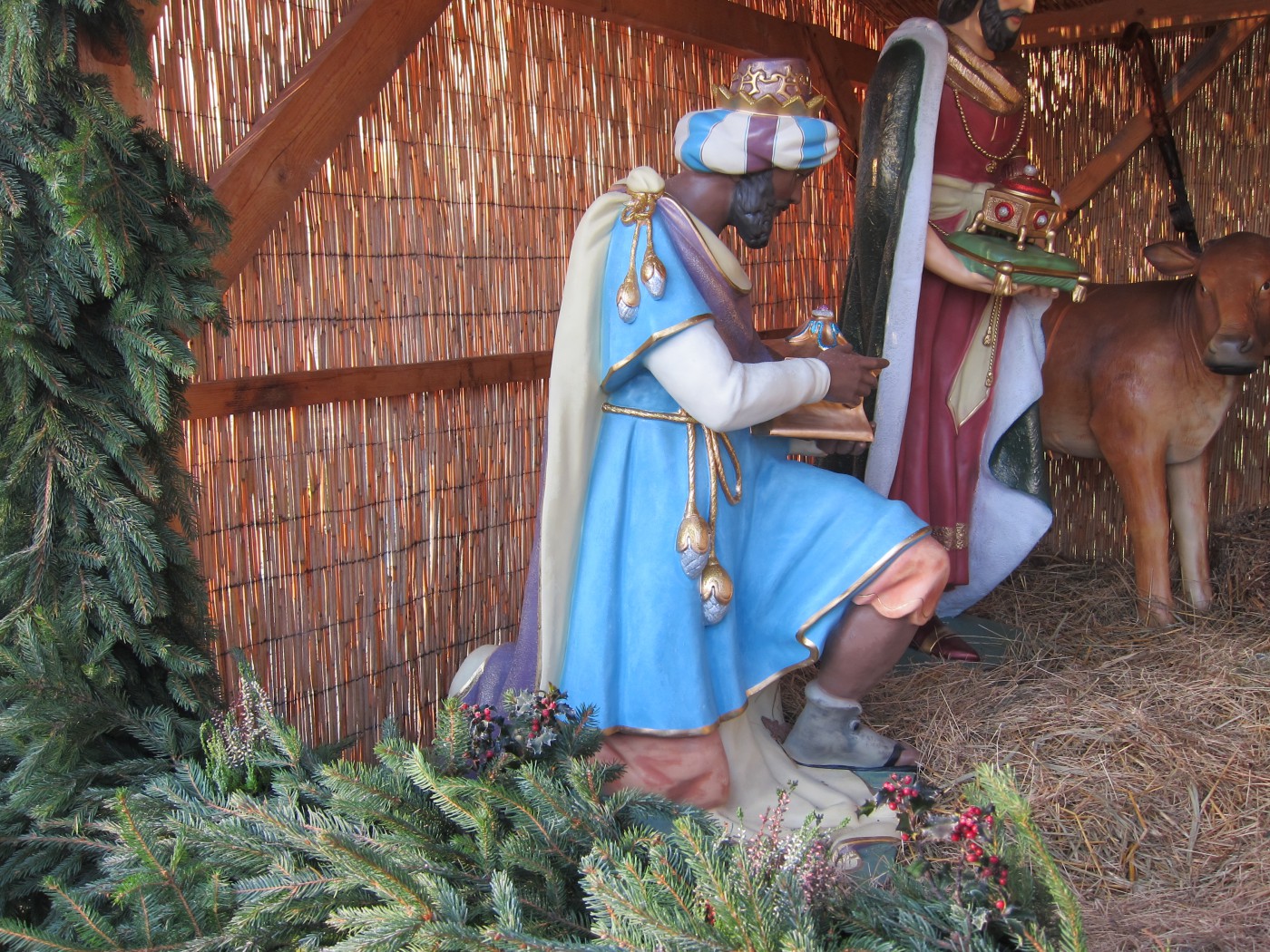 263718425 611476413401418 3967551229294448182 n