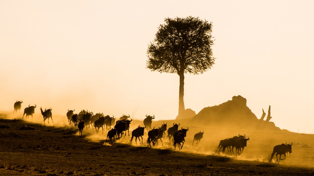 Foto László Csótai (Veszprém - HU)