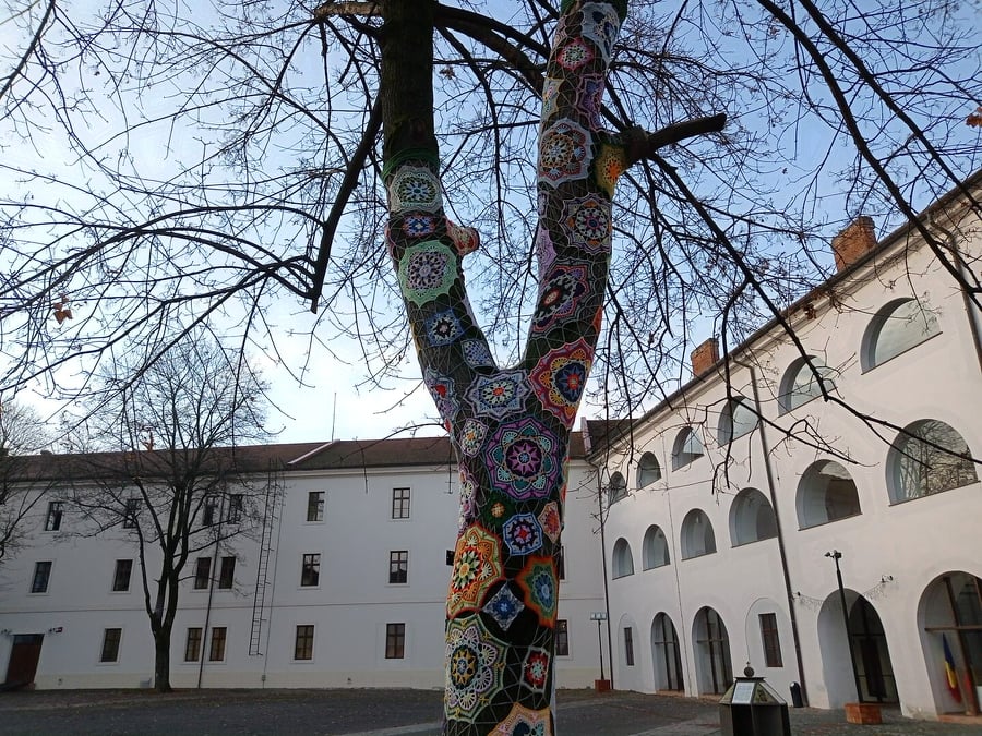 261510573 481984466534202 7959680492564114351 n