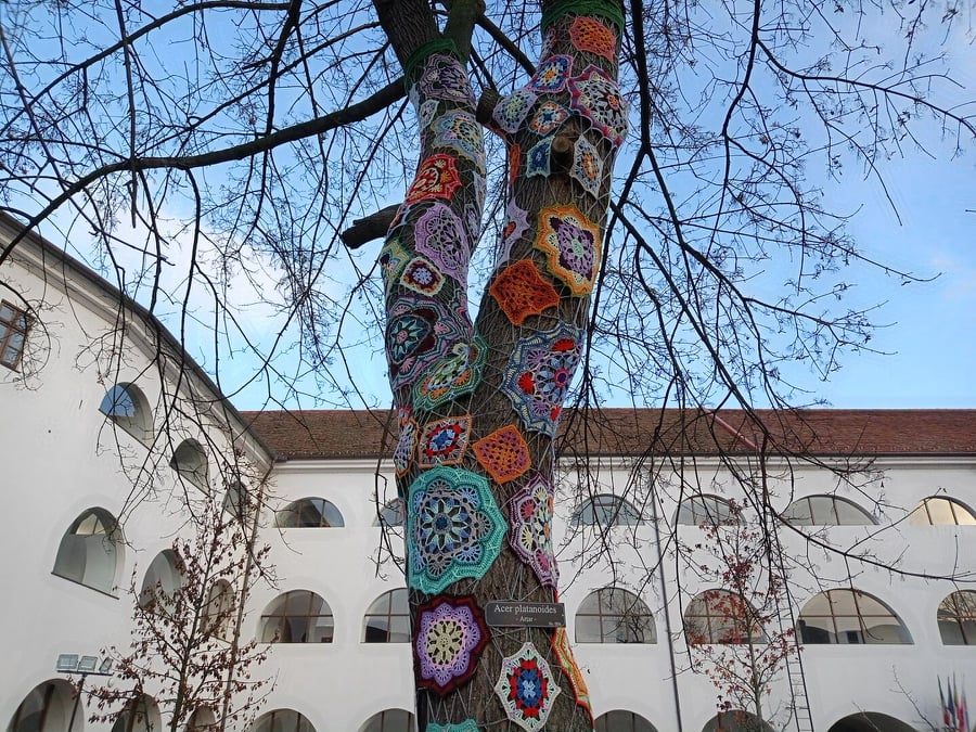 261826747 884386478943676 1462767028273854576 n