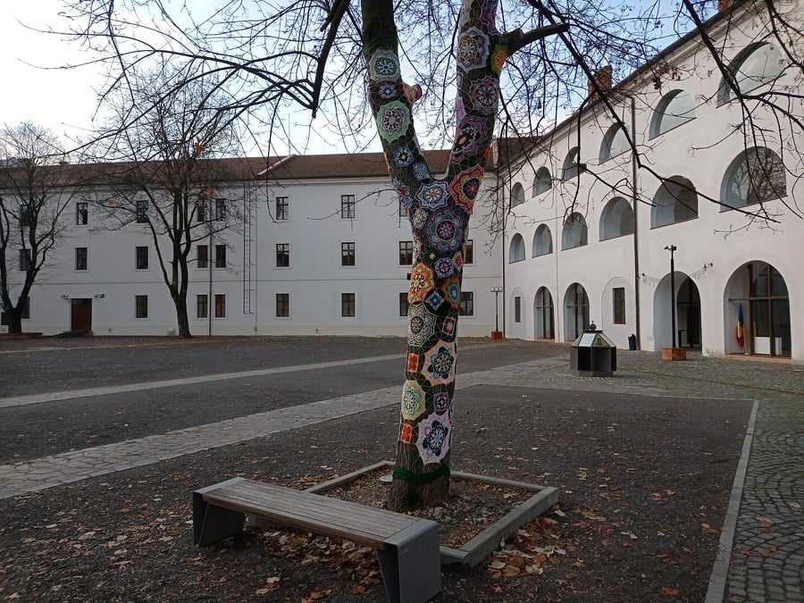 262212141 622925772170558 3364060897540982505 n