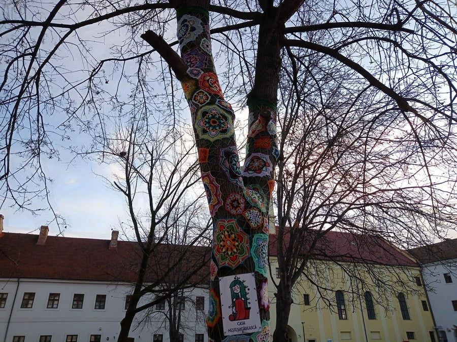 262468479 3218334675049119 3121804730885123279 n