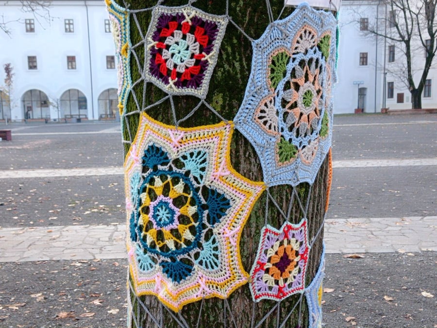 262859500 2059732897510807 831805864145769688 n