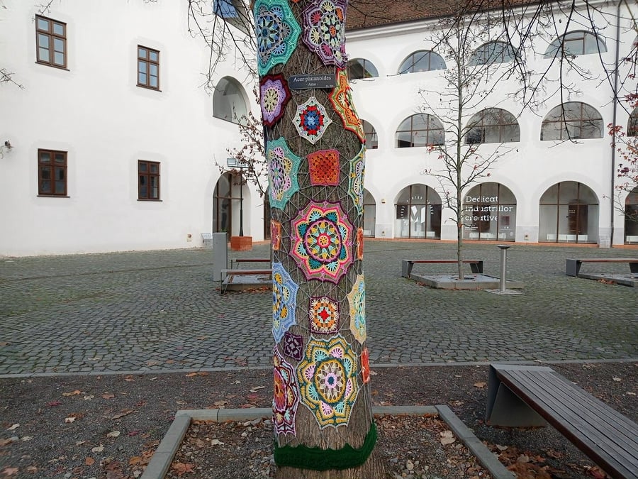 262990660 289231199784758 4951716466649210440 n