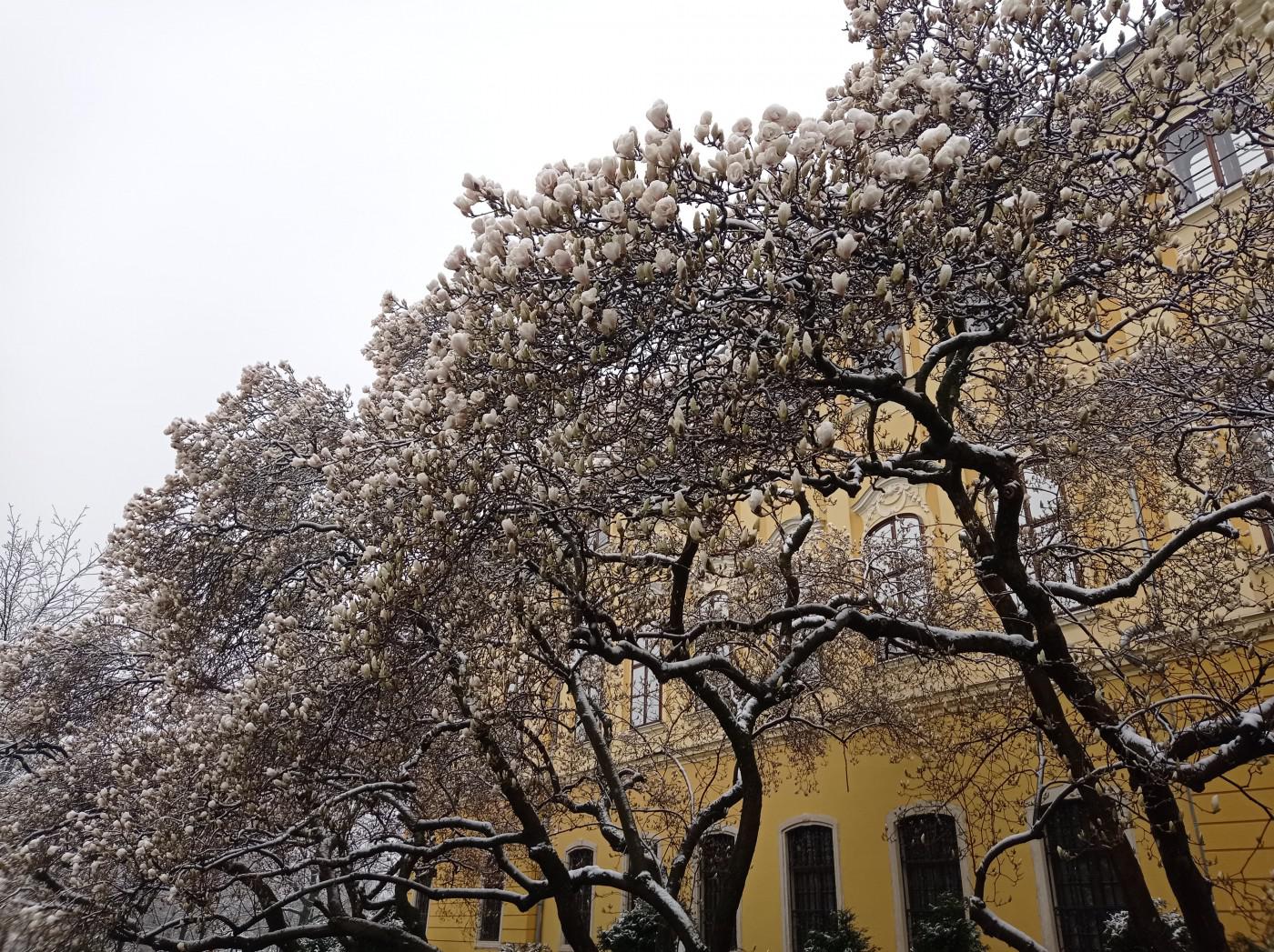 277469776 746246846759294 7944168385078143027 n