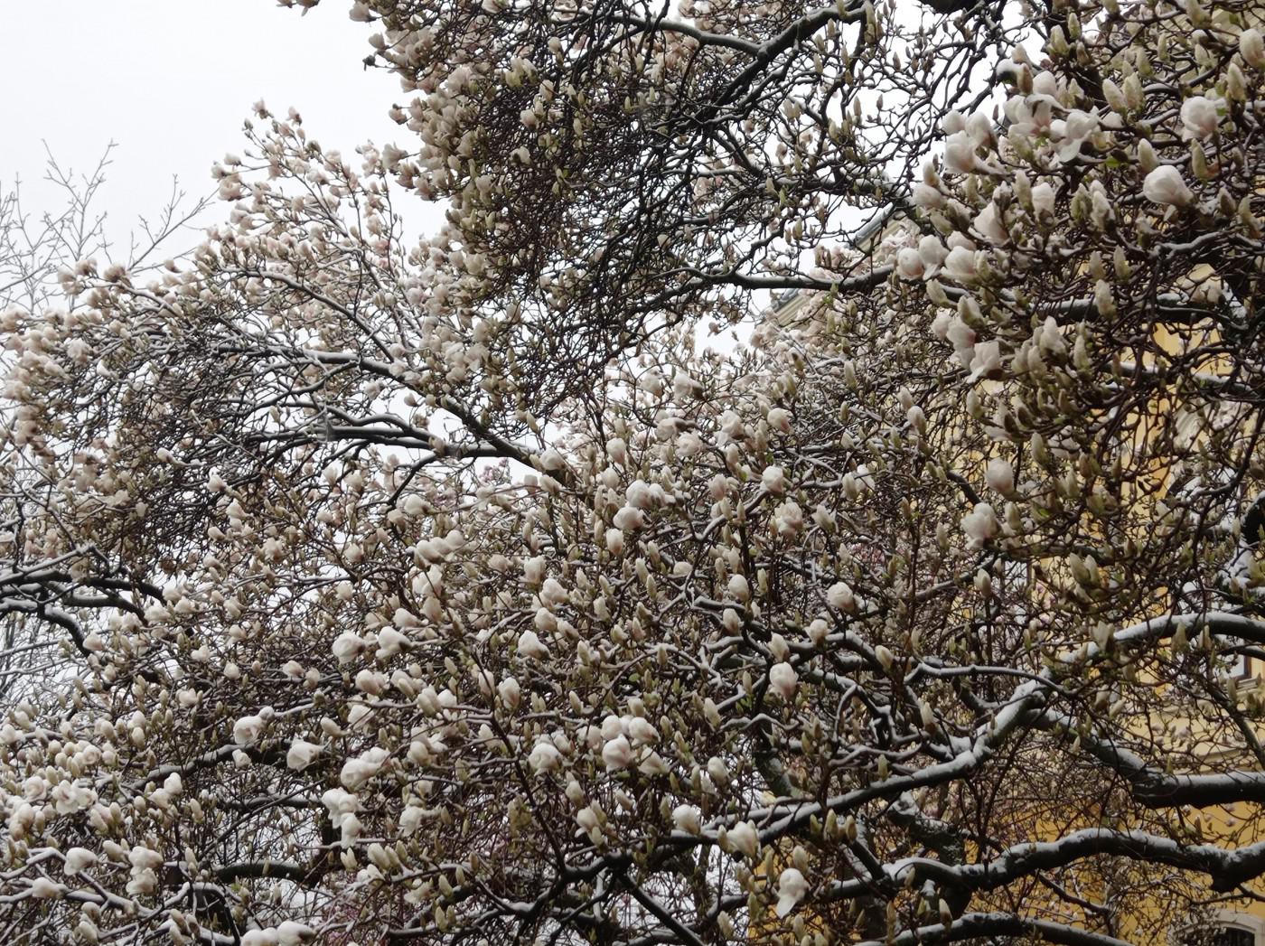 277542464 1151945792014532 1587056117181993806 n