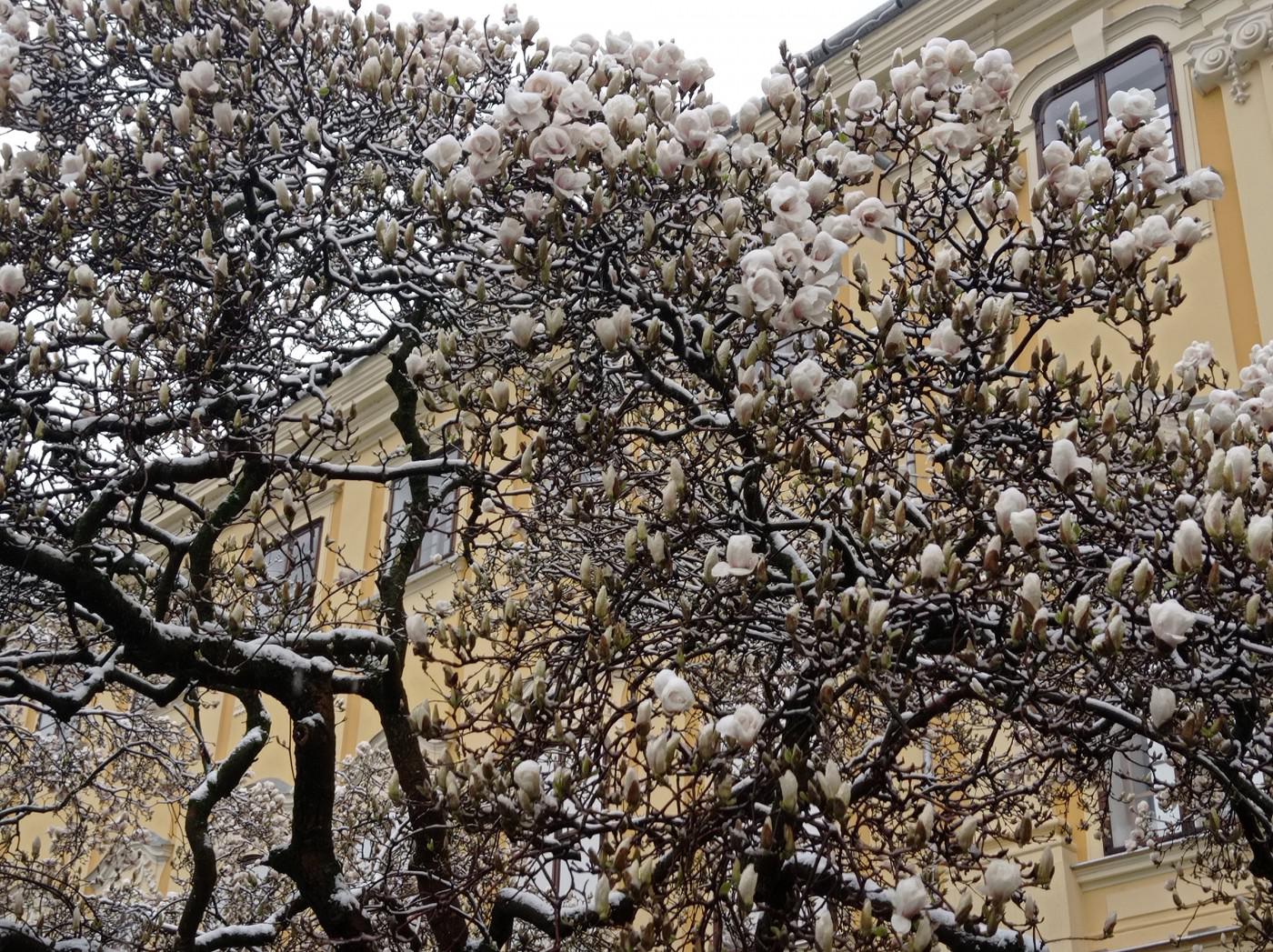 277594693 1398776373869952 6505592736515528751 n