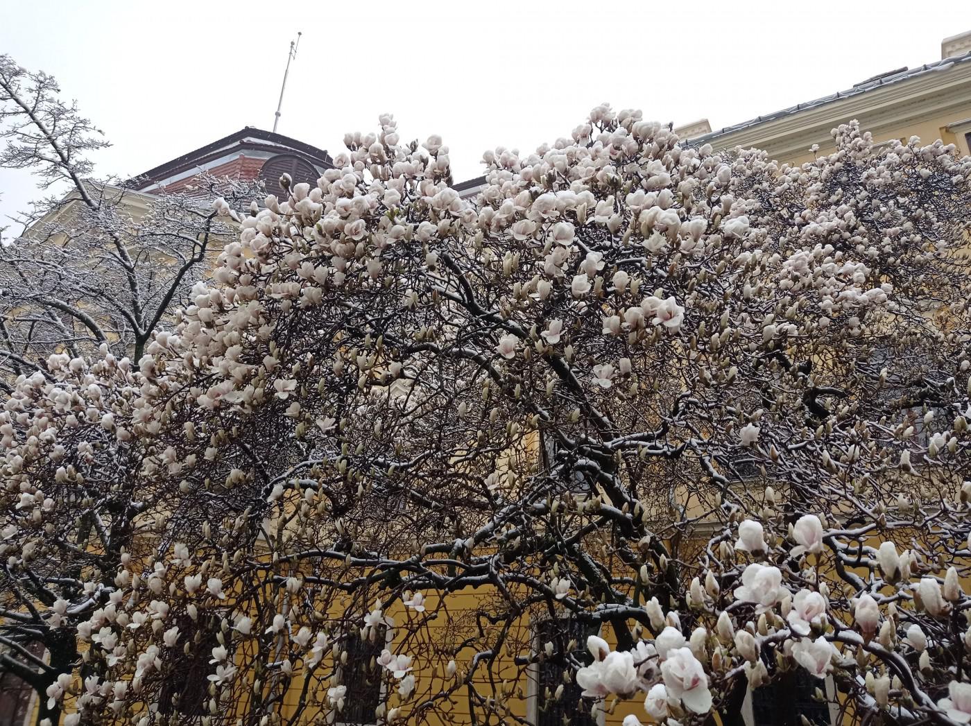 277612333 269619198702585 5677079650496813103 n