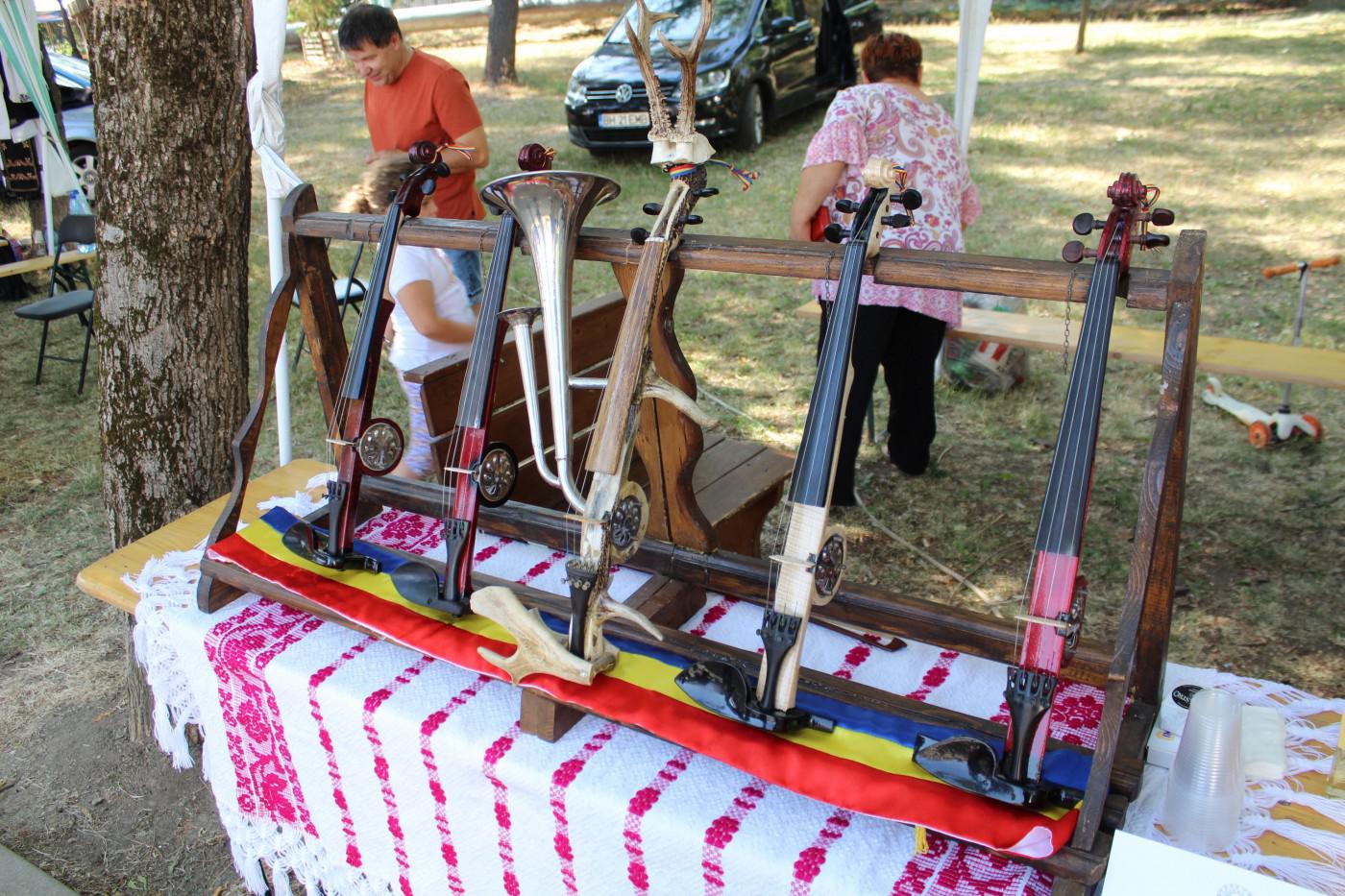 293448037 602325094862213 5290006934974673797 n