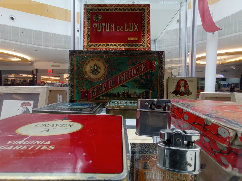 245677157 173742934918861 1461580252511137599 n