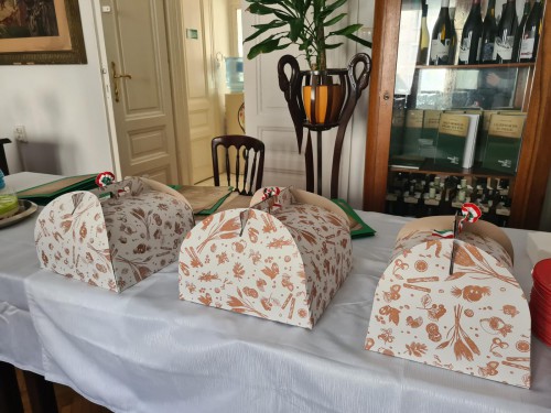 275105971 225234533101940 3079157635455967902 n