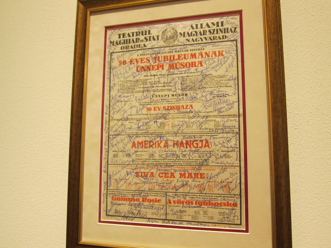 263700205 915678245736831 1698402726813698087 n