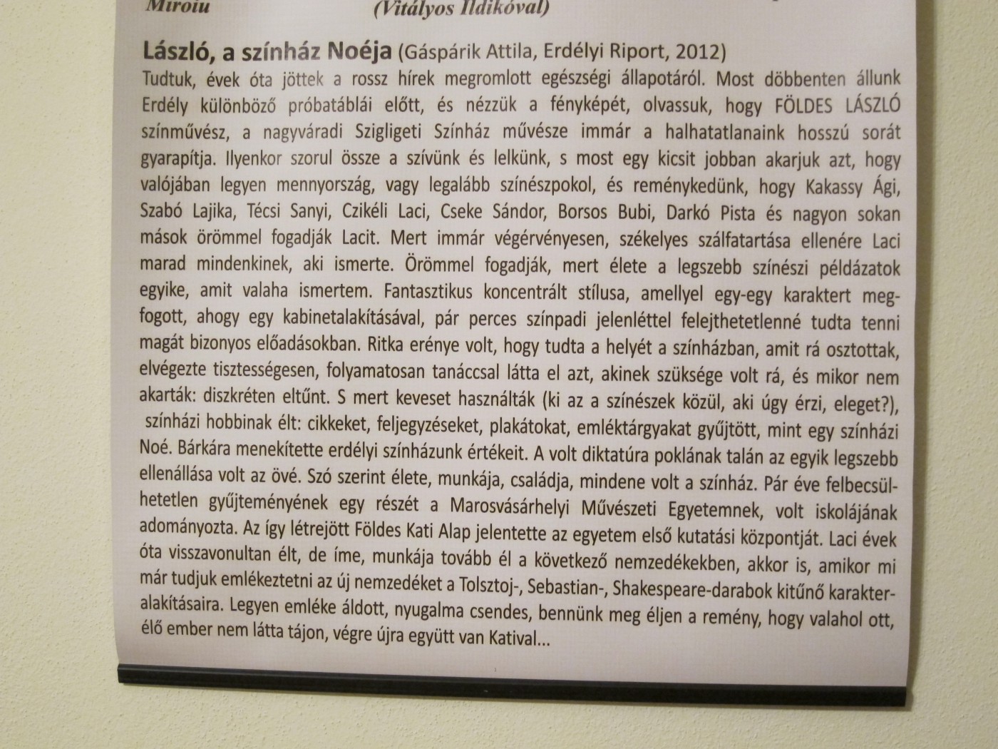 263986867 302267405139740 7947806578489397639 n