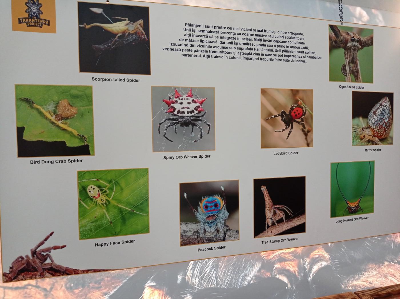 281176669 498424748733866 223375531769669657 n