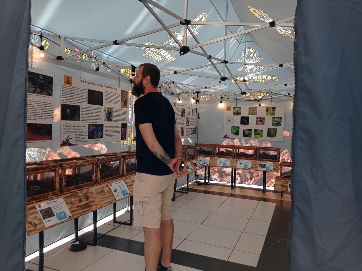 281514723 731657811304057 5000654164682768784 n-1