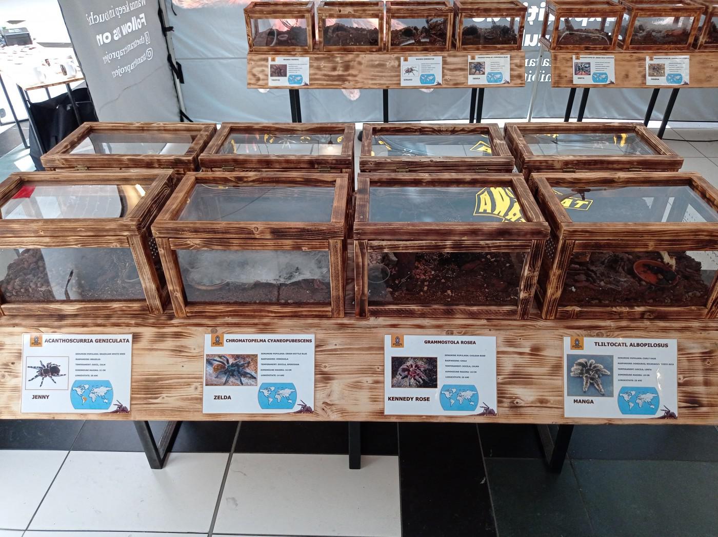 281726252 991809958200981 1928547108986139503 n