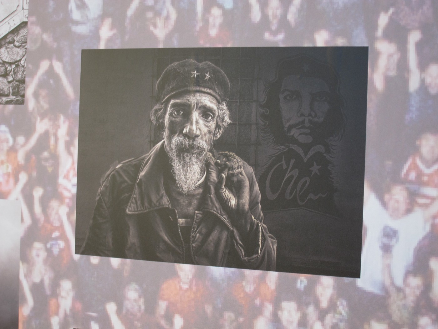 246971082 262141335840786 4746422708305002348 n