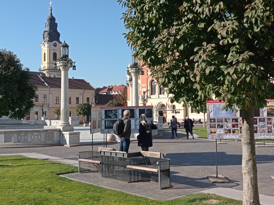 250231516 571140887297333 7216426473546157725 n