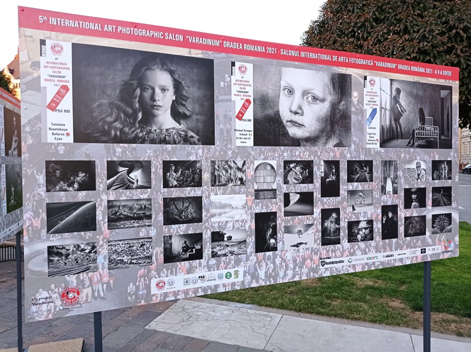 251173073 884955588847221 8404495497013617520 n