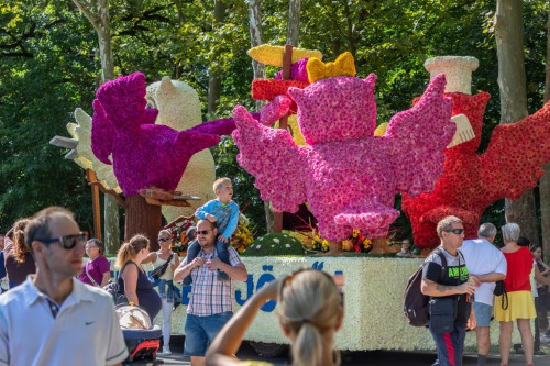 237971554 4597831396944380 4725965554803832207 n