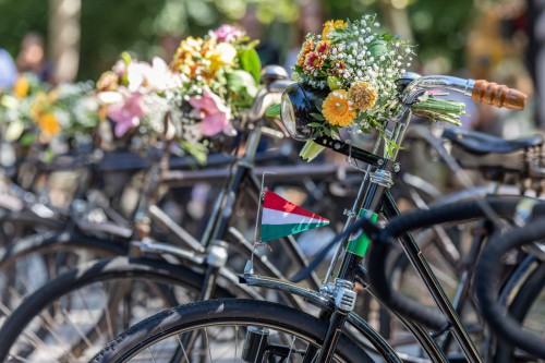 238178012 4597832213610965 7982374179631302375 n