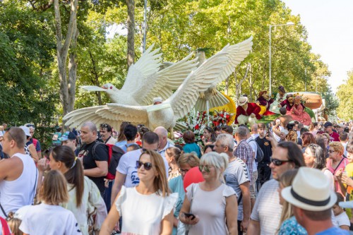 238242386 4597832896944230 1214838970754152330 n