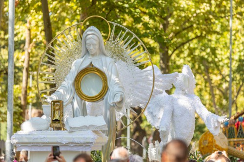 239285212 4597833533610833 8522387639677096838 n