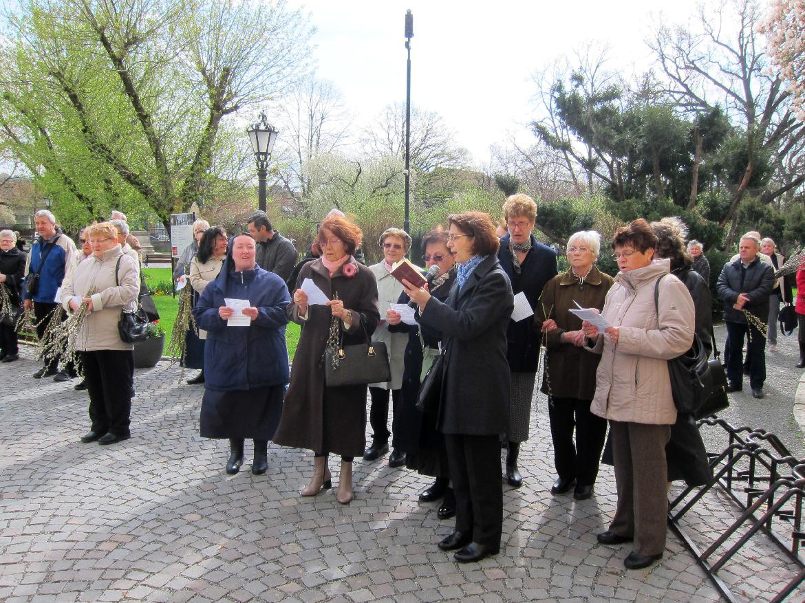 277459839 476809360846632 5448871486179673682 n