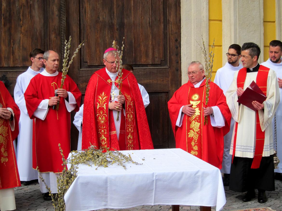 277886415 290218376615618 1879621299130005592 n