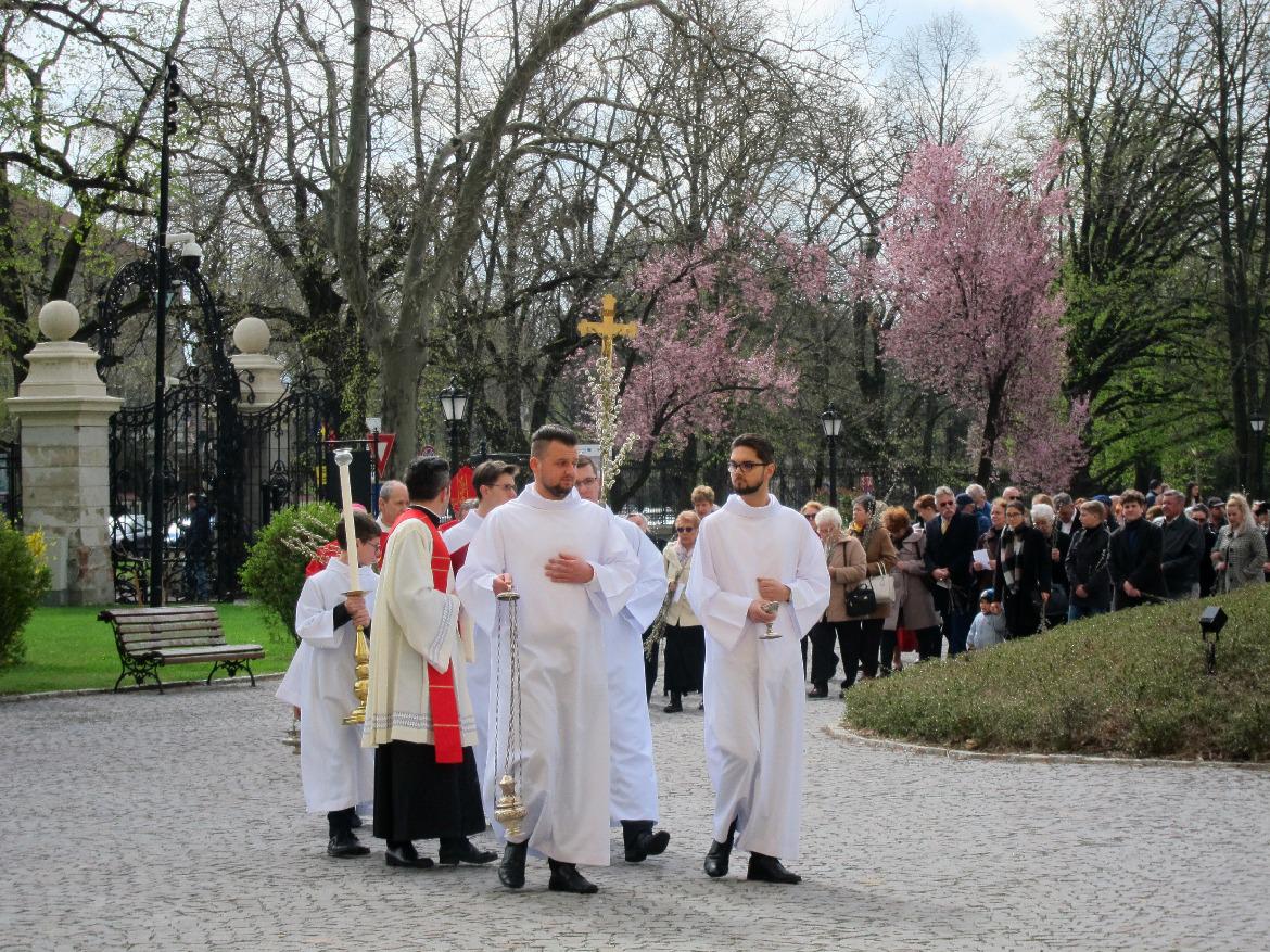 277919904 493204749091654 7893499441919710830 n