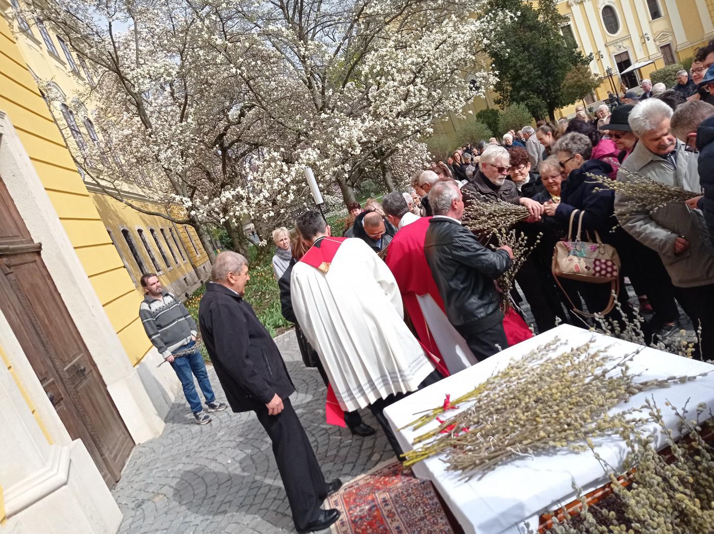 277931019 373943671280378 6410938986986805108 n