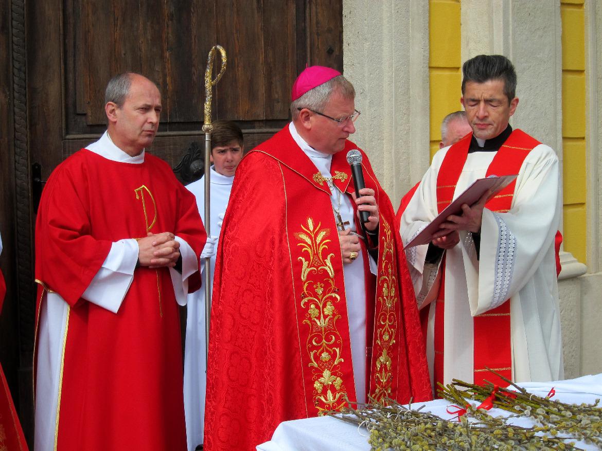 277957368 500737581551712 1920298353070492449 n