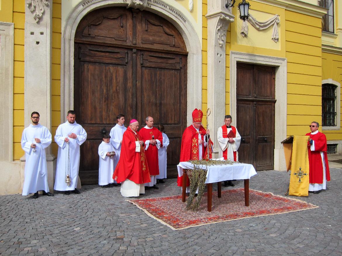 277977763 687414499130980 7869147793527443064 n-1