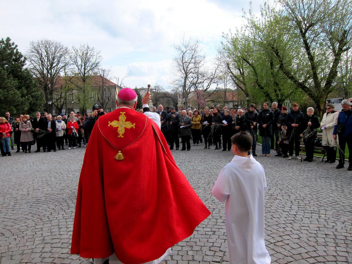 278019357 707669693604787 4623454099413115218 n