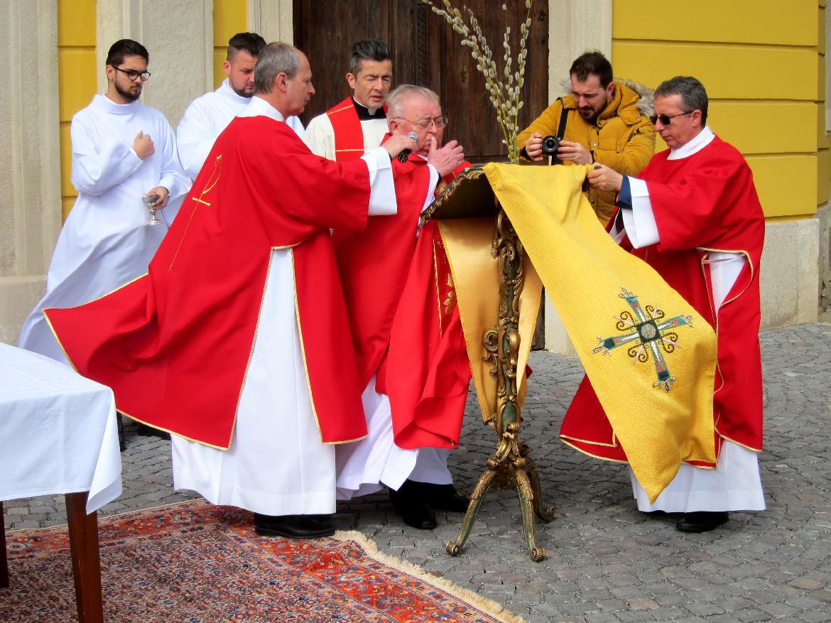 278340116 1112018222912144 4522032805420435640 n