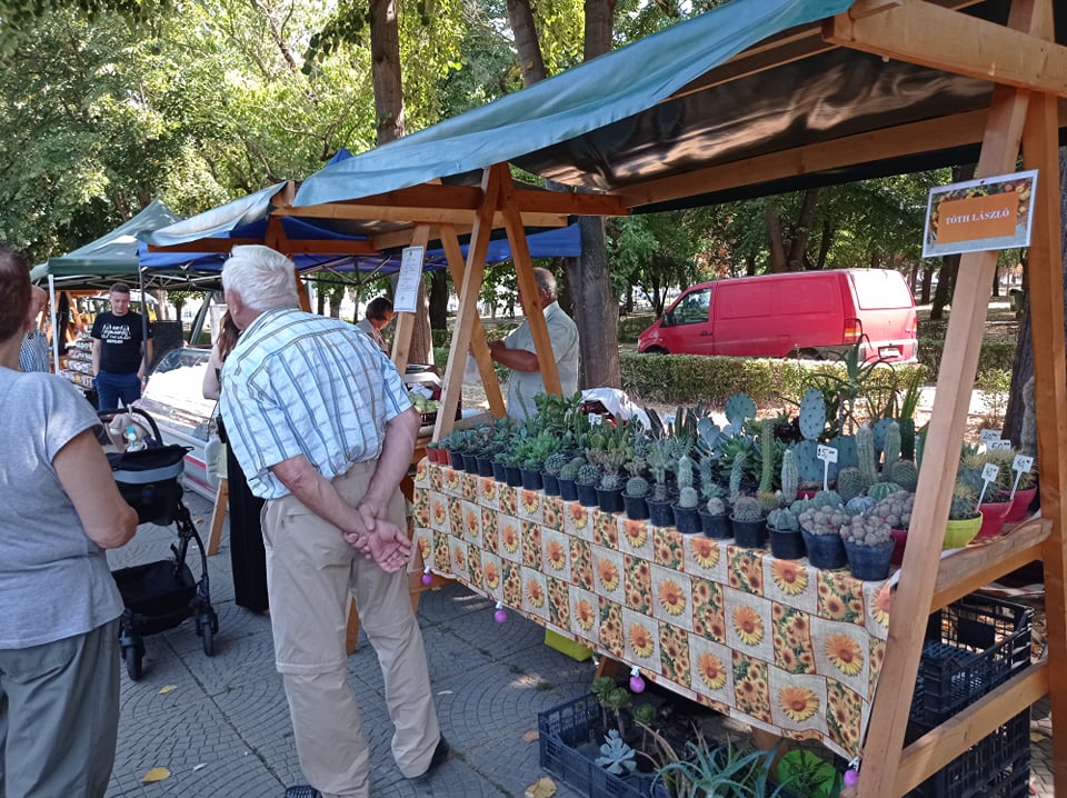 219947677 188993349936428 911167507808450384 n