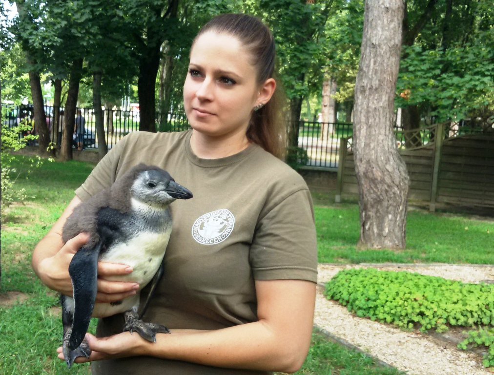 perjamos egyik gondozoja oleben