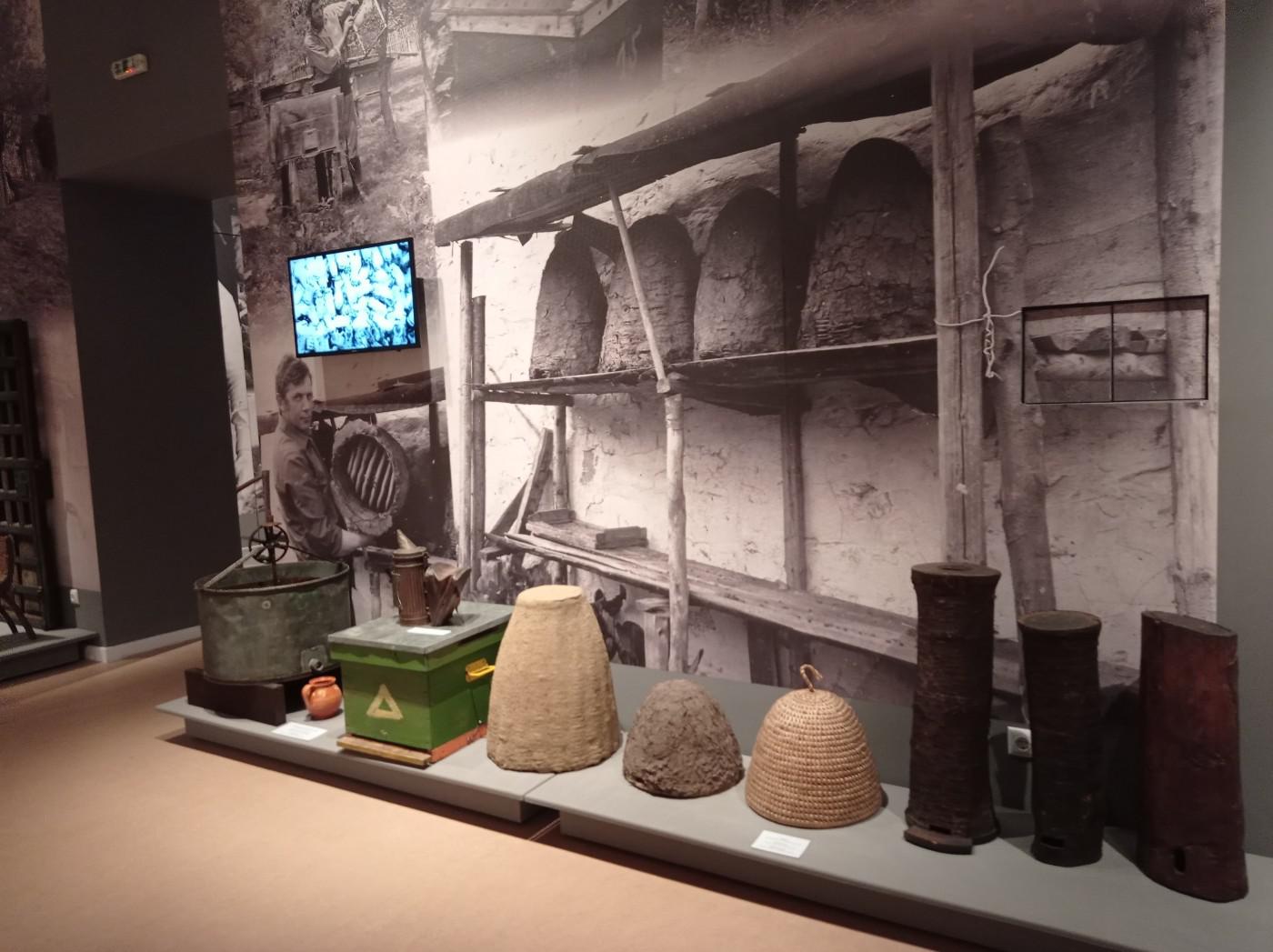 312138799 6174934262520834 832744303929139183 n