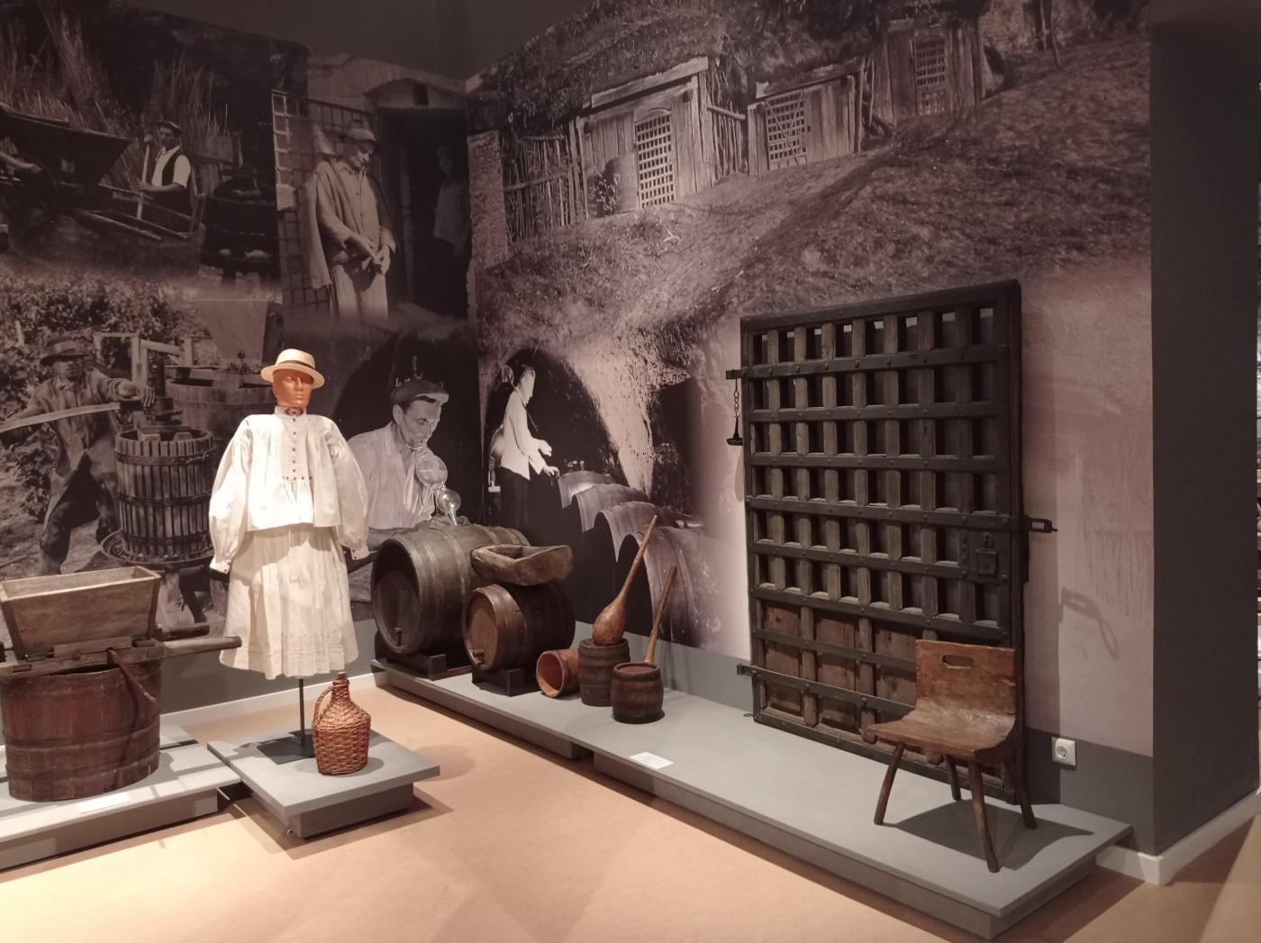 312218246 460115365985648 7748422730283456075 n