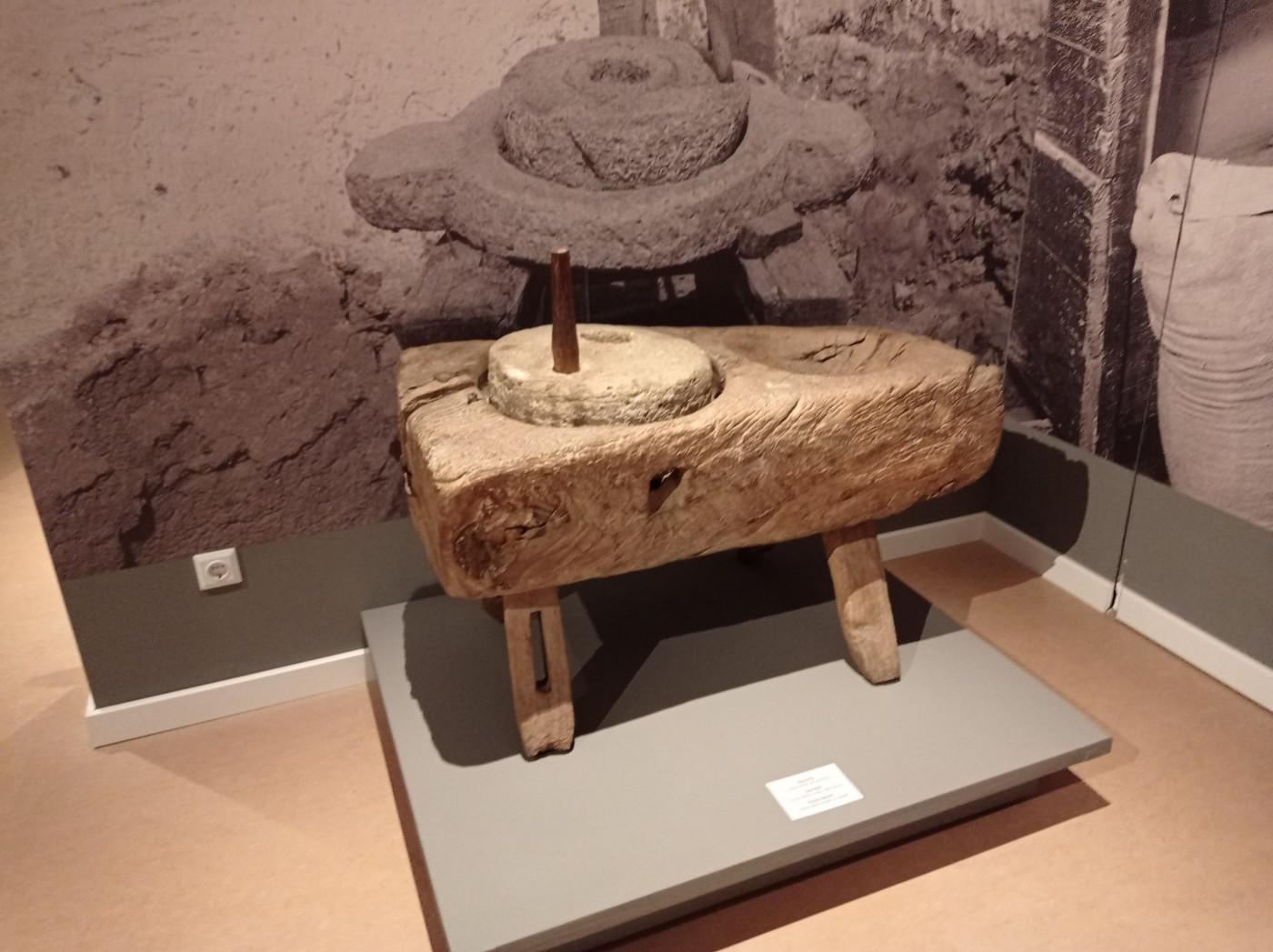 312347960 517502776912681 1389671198124179153 n