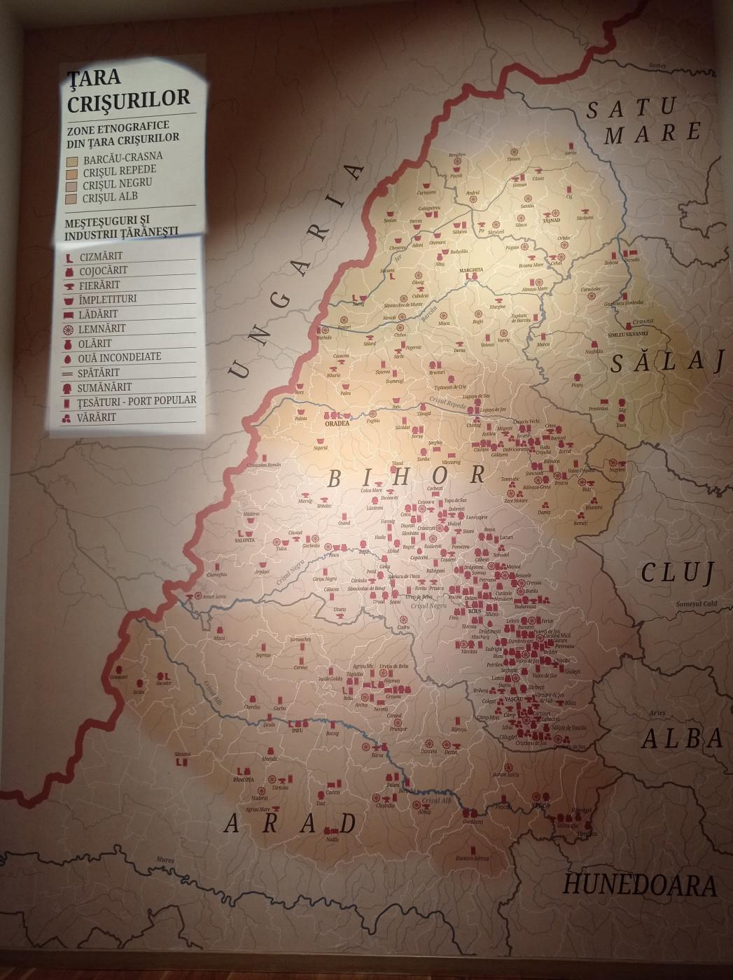 312438811 1143410099614874 3924279116131246140 n