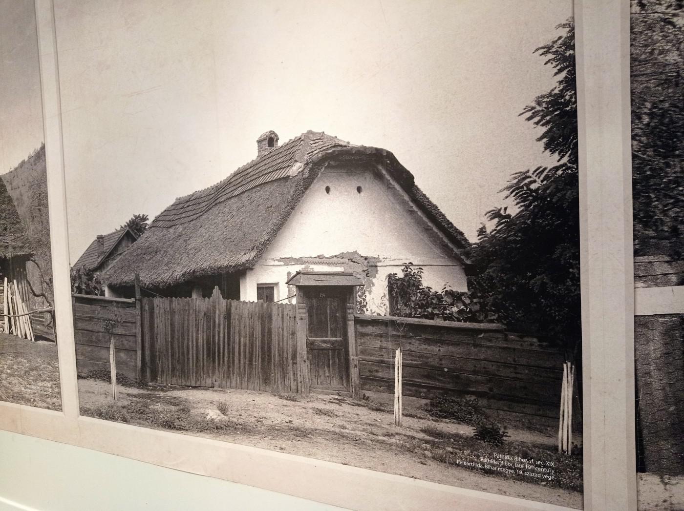 312457104 3250835468508996 4616145967123728239 n