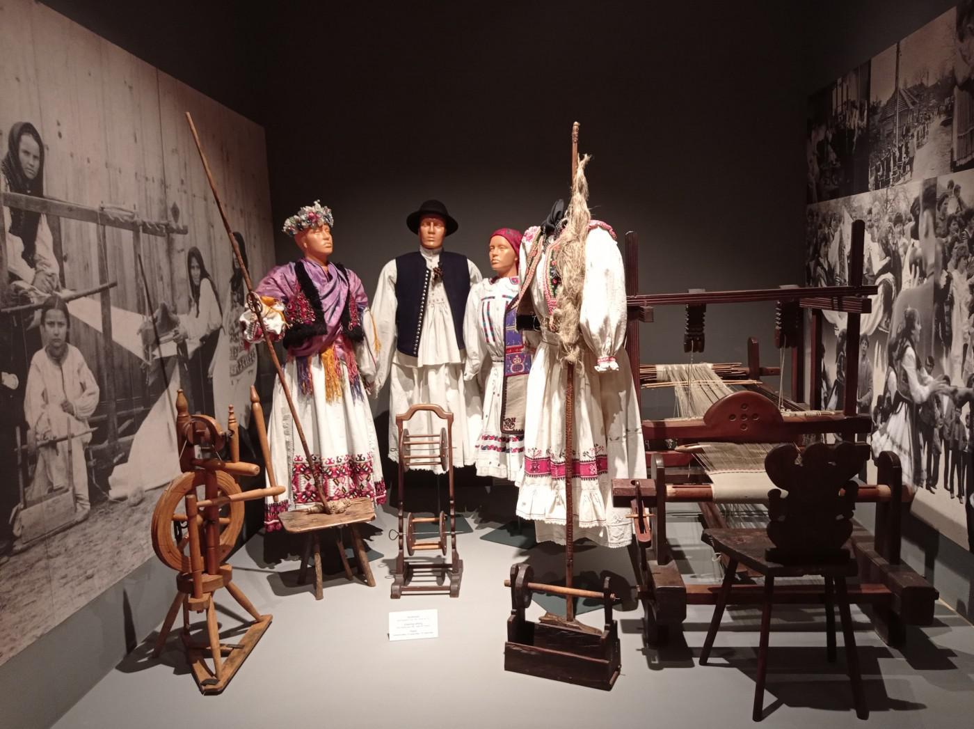 312496748 858006028548370 789132116383991747 n